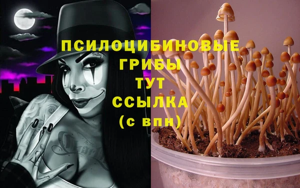 мдпв Медвежьегорск