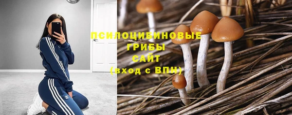метамфетамин Медногорск